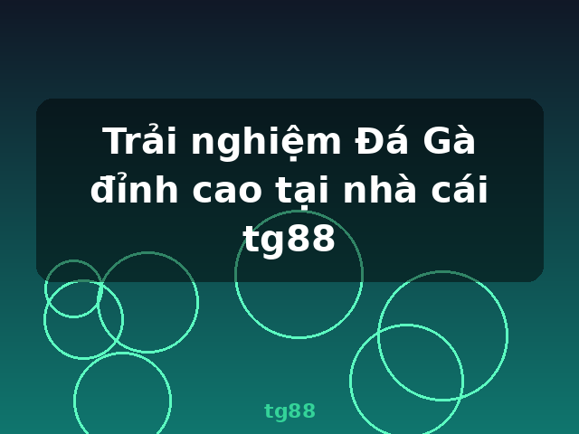 Trải nghiệm Đá Gà đỉnh cao tại nhà cái tg88 - tg88