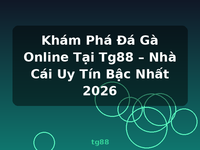 Khám Phá Đá Gà Online Tại Tg88 – Nhà Cái Uy Tín Bậc Nhất 2026 - tg88