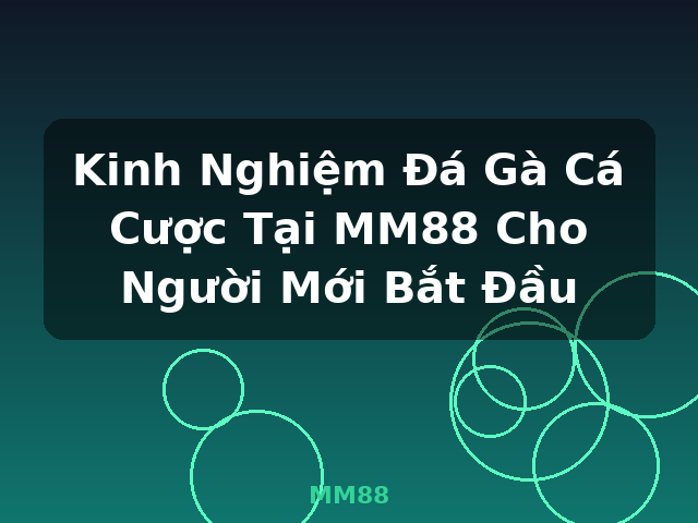 Kinh Nghiệm Đá Gà Cá Cược Tại MM88 Cho Người Mới Bắt Đầu - MM88