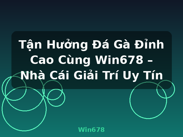 Tận Hưởng Đá Gà Đỉnh Cao Cùng Win678 – Nhà Cái Giải Trí Uy Tín - Win678