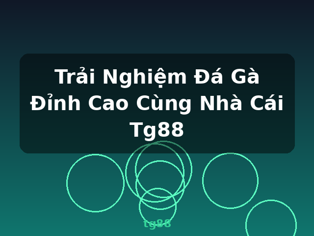 Trải Nghiệm Đá Gà Đỉnh Cao Cùng Nhà Cái Tg88 - tg88