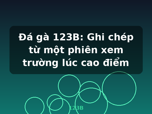 Đá gà 123B: Ghi chép từ một phiên xem trường lúc cao điểm - 123B Đá gà 123B: Ghi chép từ một phiên xem trường lúc cao điểm - 123B
