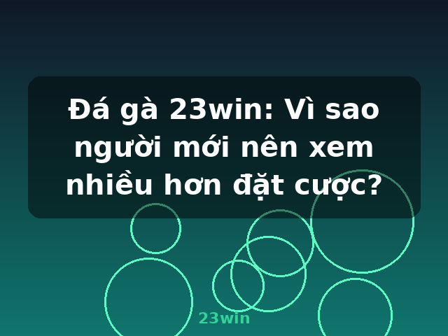 Đá gà 23win: Vì sao người mới nên xem nhiều hơn đặt cược? - 23win