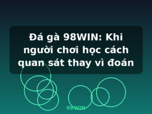 Đá gà 98WIN: Khi người chơi học cách quan sát thay vì đoán - 98WIN
