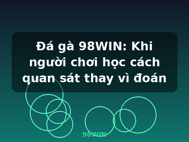 Đá gà 98WIN: Khi người chơi học cách quan sát thay vì đoán - 98WIN Đá gà 98WIN: Khi người chơi học cách quan sát thay vì đoán - 98WIN