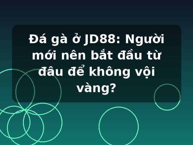 Đá gà ở JD88: Người mới nên bắt đầu từ đâu để không vội vàng? Đá gà ở JD88: Người mới nên bắt đầu từ đâu để không vội vàng?