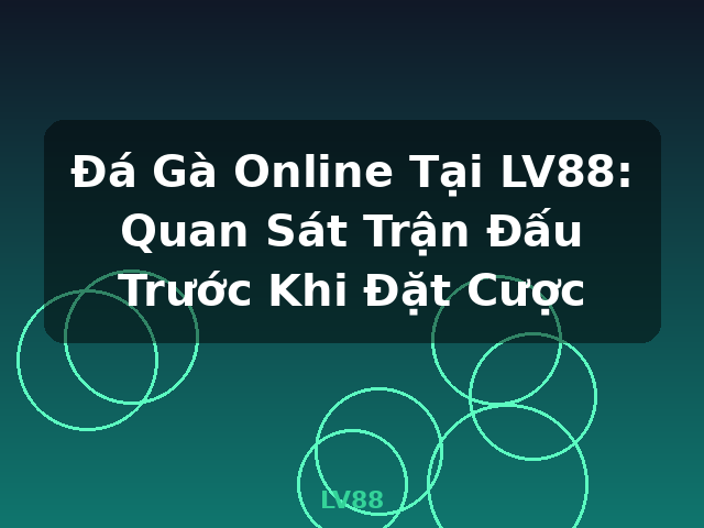 Đá Gà Online Tại LV88: Quan Sát Trận Đấu Trước Khi Đặt Cược - LV88