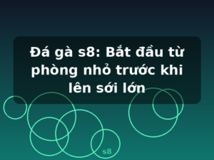 Đá gà s8: Bắt đầu từ phòng nhỏ trước khi lên sới lớn - s8