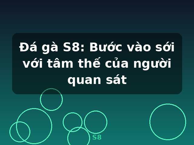 Đá gà S8: Bước vào sới với tâm thế của người quan sát - S8 Đá gà S8: Bước vào sới với tâm thế của người quan sát - S8