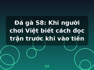 Đá gà S8: Khi người chơi Việt biết cách đọc trận trước khi vào tiền - S8