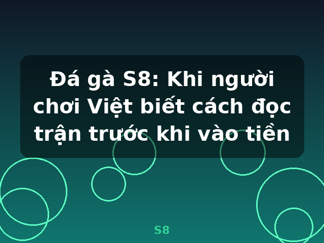 Đá gà S8: Khi người chơi Việt biết cách đọc trận trước khi vào tiền - S8