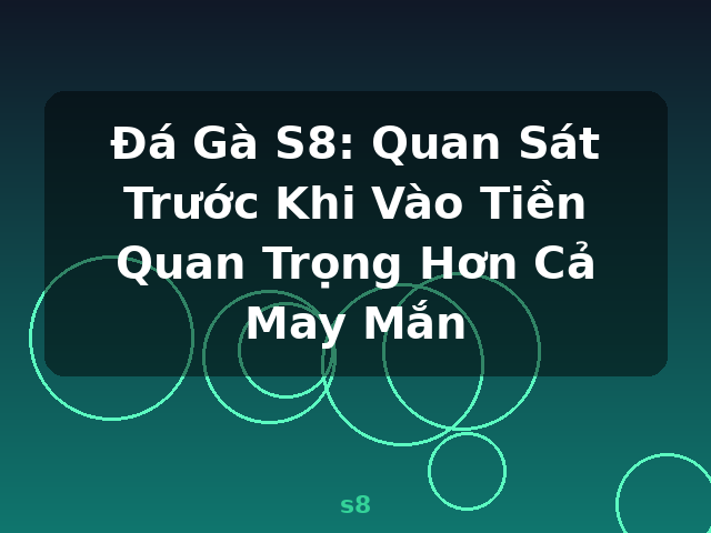 Đá Gà S8: Quan Sát Trước Khi Vào Tiền Quan Trọng Hơn Cả May Mắn - s8