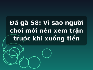 Đá gà S8: Vì sao người chơi mới nên xem trận trước khi xuống tiền