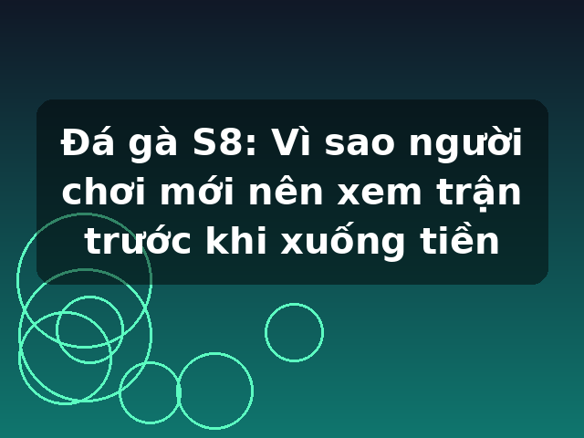 Đá gà S8: Vì sao người chơi mới nên xem trận trước khi xuống tiền