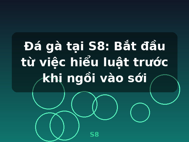 Đá gà tại S8: Bắt đầu từ việc hiểu luật trước khi ngồi vào sới - S8 Đá gà tại S8: Bắt đầu từ việc hiểu luật trước khi ngồi vào sới - S8