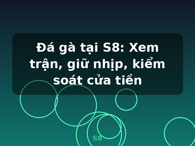 Đá gà tại S8: Xem trận, giữ nhịp, kiểm soát cửa tiền - S8