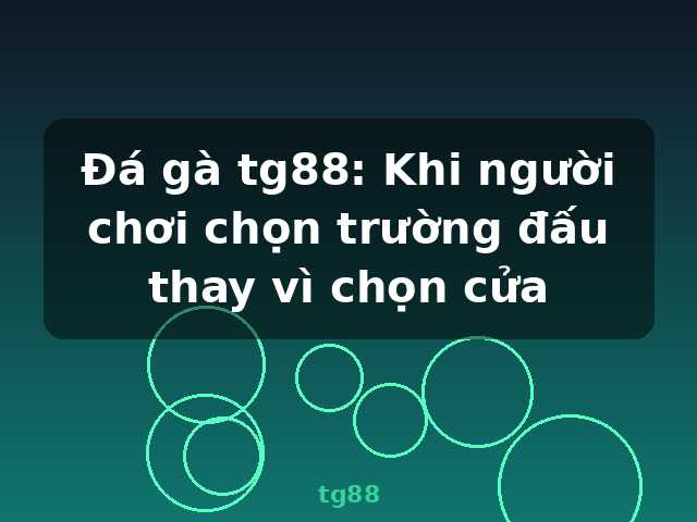 Đá gà tg88: Khi người chơi chọn trường đấu thay vì chọn cửa - tg88