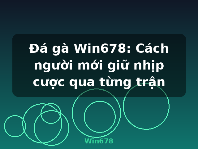 Đá gà Win678: Cách người mới giữ nhịp cược qua từng trận - Win678